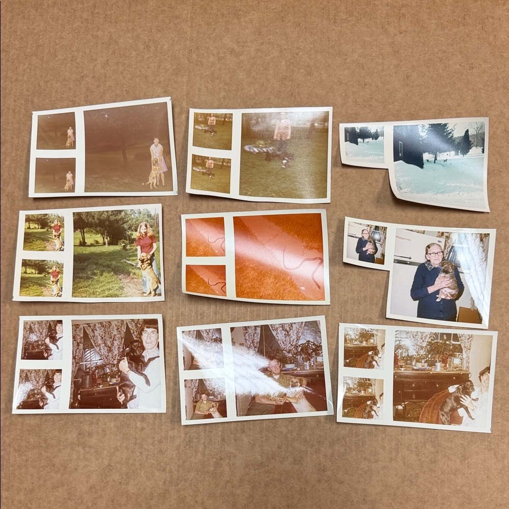 Vintage photographs